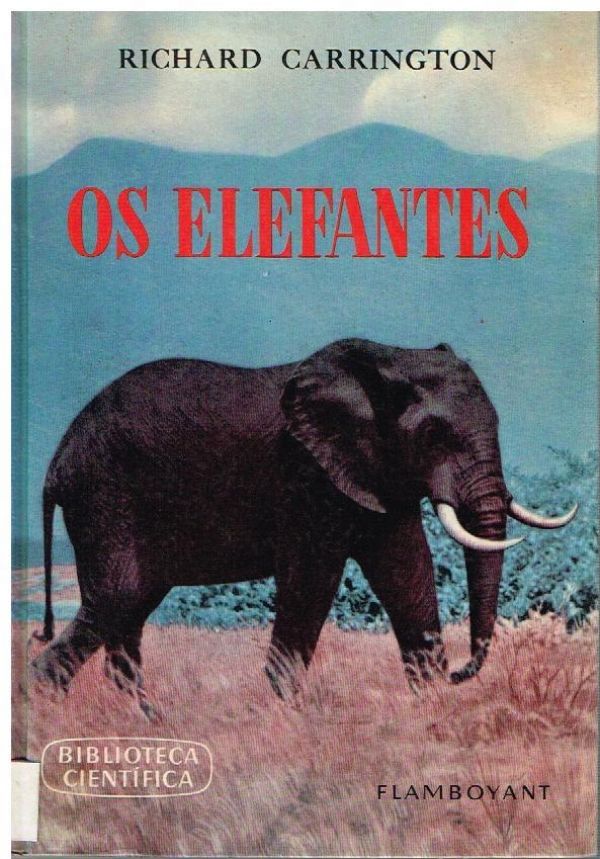 Elefantes, Os